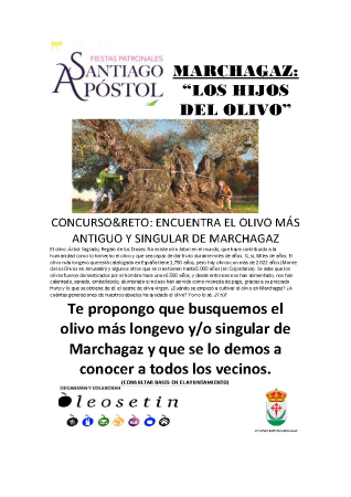 Imagen FIESTAS PATRONALES: SANTIAGO APOSTOL 2022 - CONCURSO&RETO: ENCUENTRA EL OLIVO MÁS ANTIGUO Y SINGULAR DE MARCHAGAZ